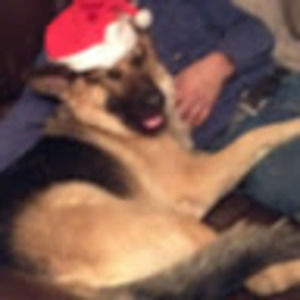 Meet your Posher, Brynn